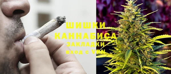ГАЛЛЮЦИНОГЕННЫЕ ГРИБЫ Алзамай